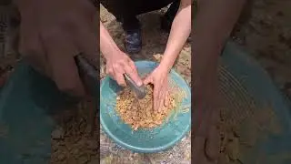 Amazing Gold Finding From River Side | #satisfying #satisfyingvideo #satisfyingvideos #satisfy