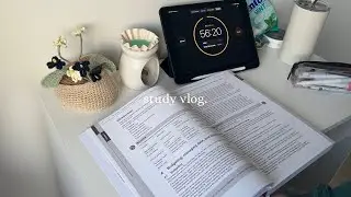 a studious vlog | financial services revision and slow living