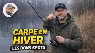 Carpe en hiver : o&ugrave; chercher les poissons et comment les prendre