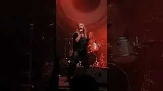 Lion Rock Fest 2025: Shiraz Lane (08/11/25)