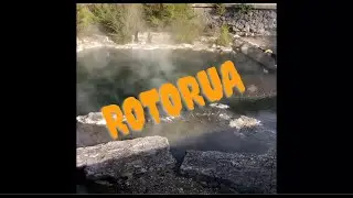Road trip from Hamilton to Rotorua (New Zealand)