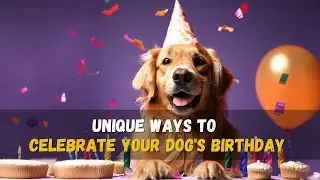 🎂 Dog's Birthday Planning and Ideas 🎂 🎉 🎁