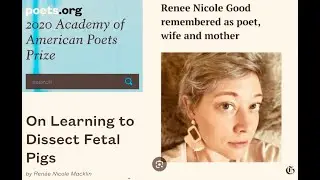 a poem by Ren&eacute;e Nicole Good 🌻Suno AI music, Việt translation by Nguy&ecirc;n Y&ecirc;n 