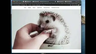 Create a Featured Image in WordPress