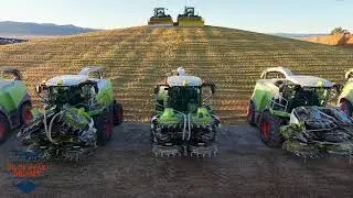 Corn Harvest at Holt Farms