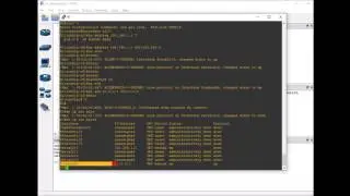 CLI Basics
