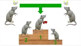 Innate Behaviour