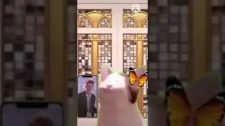 POPCAT RICKROLLED #rickroll #rickastley #popcat #memes #animation #anime #poppoppop #poppoppop