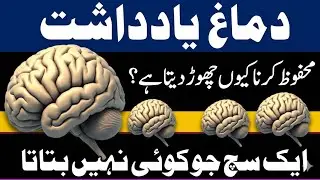 Why the Brain Stops Storing Memories | The Hidden Truth About Forgetting #BrainMemoryTruth