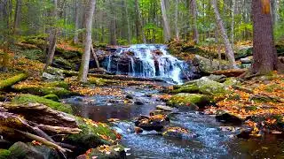 4k UHD Autumn Waterfall flowing Sound. Flowing Water, White Noise, Waterfall Sounds for Sleeping.