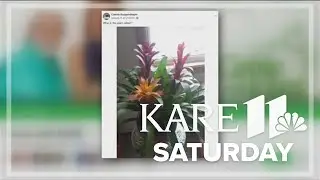 Your Grow with KARE questions: Saturday, Jan. 18, 2025