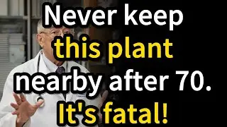 Never keep this plant nearby after 70 - 5 toxic plants every senior must remove for better health!