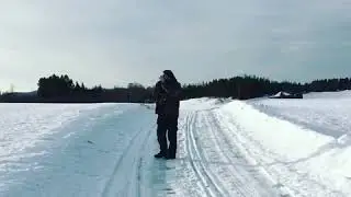 Crow Magpie call