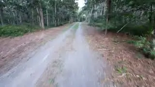 Little Dog Drag Race Sadie vs Frankie 1