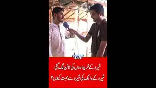 Maweshi Mandi Market Latest Updates | Cattle Markets In Pakistan | CurrentNN
