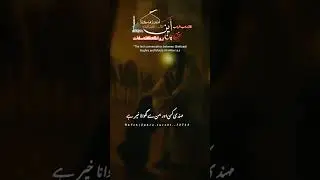 28 RAJAB STATUS ZAKIR SHOUKAT RAZA SHOUKAT #majlis #shorts #status #video