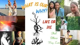 Live or Die: What is Our Why?