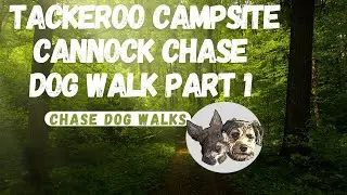 Dog Vlog 1 🐾🐶 - Tackeroo Campsite Dog Walk Part 1, Cannock Chase, He&rsquo;s a Greyhound X Rottweiler 🤣