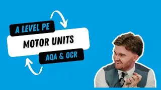 AQA & OCR A level PE - Motor Units and Skeletal Muscle Contraction