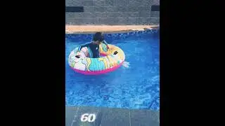 Video Lucu Berenang Jatuh dari benen..