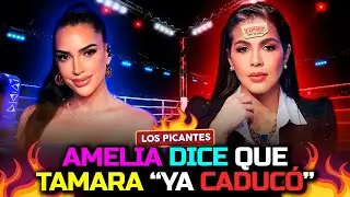 Amelia dice que Tamara Mart&iacute;nez &ldquo;ya caduc&oacute;&rdquo; y no puede ser hilo conductor | VIVE EL ESPECTACULO