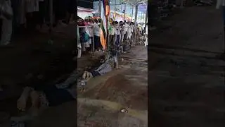 Ramdevra Mela 2025 mein ladki pet pilania chalkar Mandir Mein pahunchi, #ramdevramela2025 #ramapir