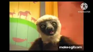 Zoboo’s reaction after watching Waffle spinning over and over again 