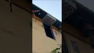 THE UPSIDE-DOWN HOUSE 🏠 IN PERU