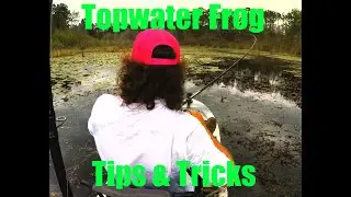 Top Water Frog Fishing Tips