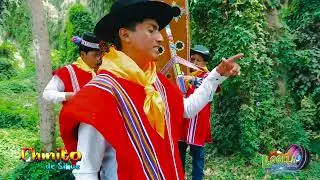 Chinito de Sihue - Armay Lazo - Toril 2025