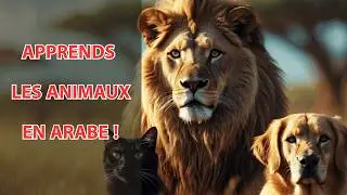 Découvre Comment Apprendre Les Noms d'Animaux En Arabe Facilement ? (Méthode Rapide Avec Exemples)
