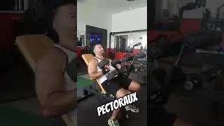 #bodypositive #motivation #summerworkout #gymmotivation #bodypositive #pectoraux