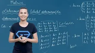 Calculul determinanților de ordinul patru și cinci &ndash; Clasa a XI-a
