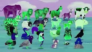 Sparta Pitch Effects Sponsored by Gamavision Csupo Effects