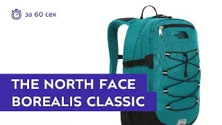 Рюкзак The North Face Borealis Classic Green/Black. Обзор за 60 секунд