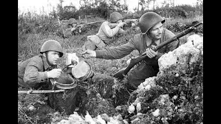 Таллинский котел. Легендарный подвиг РККА в Прибалтике летом 1941