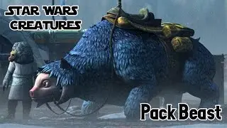 Pack Beast | Star Wars Creatures