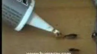 Roach Bait