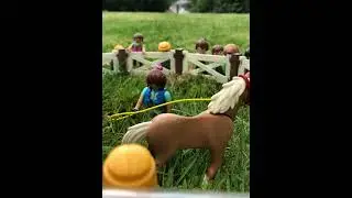 Pferdeauktion Playmobil (Mein erstes Video😁🫶🏼🐴)