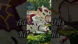 Mysore dasara flower show 2025 updates💫✨##mysore dasara
