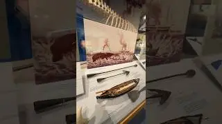 Hunting Weapons & Products 4/ frm Whales@ The Port Exhibit@NY Metropolis Hall@NY State Museum Albany