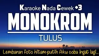 Tulus - Monokrom Karaoke Female Key Nada Wanita +3