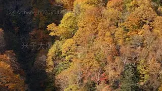 米子大瀑布 autumn images C 14 pan&darr;