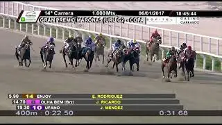 DEFINICIONES GRAN PREMIO  MAROÑAS AÑOS 2004 AL 2024