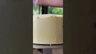 Icing Cake with a BLOWTORCH! 😲 #cakedecorating #buttercream #vegan