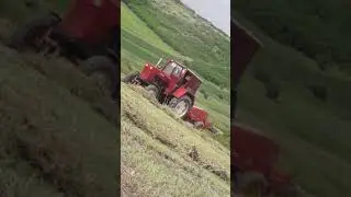 Cosit & Balotat 2019😎🚜🚜🚜