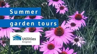 Water Conservation Garden