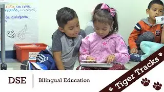 Tiger Tracks: DSE - Bilingual Education