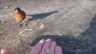 SlowMotionTest
