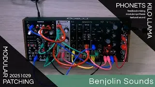 Modular Explorations: Wild Feast